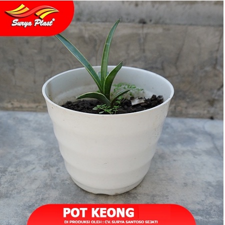 POT KEONG 132 POT BUNGA POT KEMBANG POT TANAMAN POT KECIL POT PUTIH ERIKO