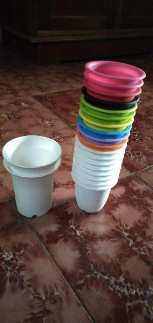 Pot Bunga Plastik Cactus 10