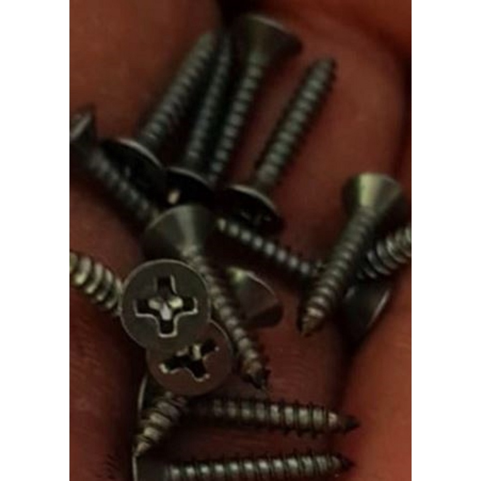 Sekrup Kayu RRT 1x6mm