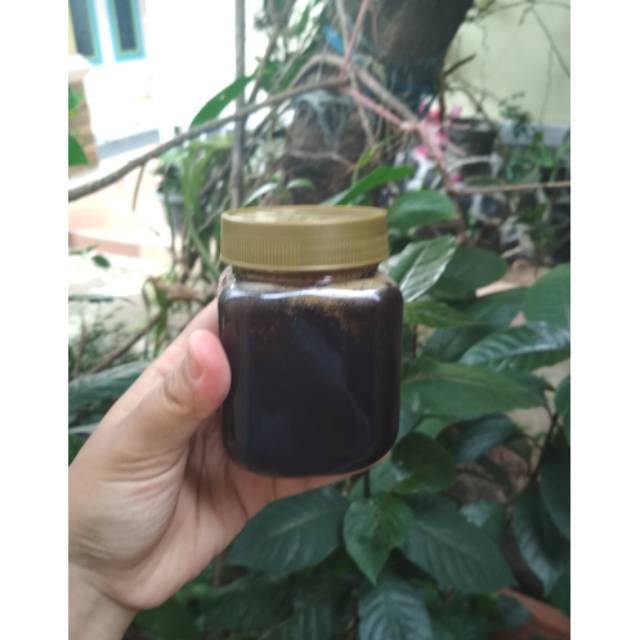 

Madu Hitam Pahit 250gr