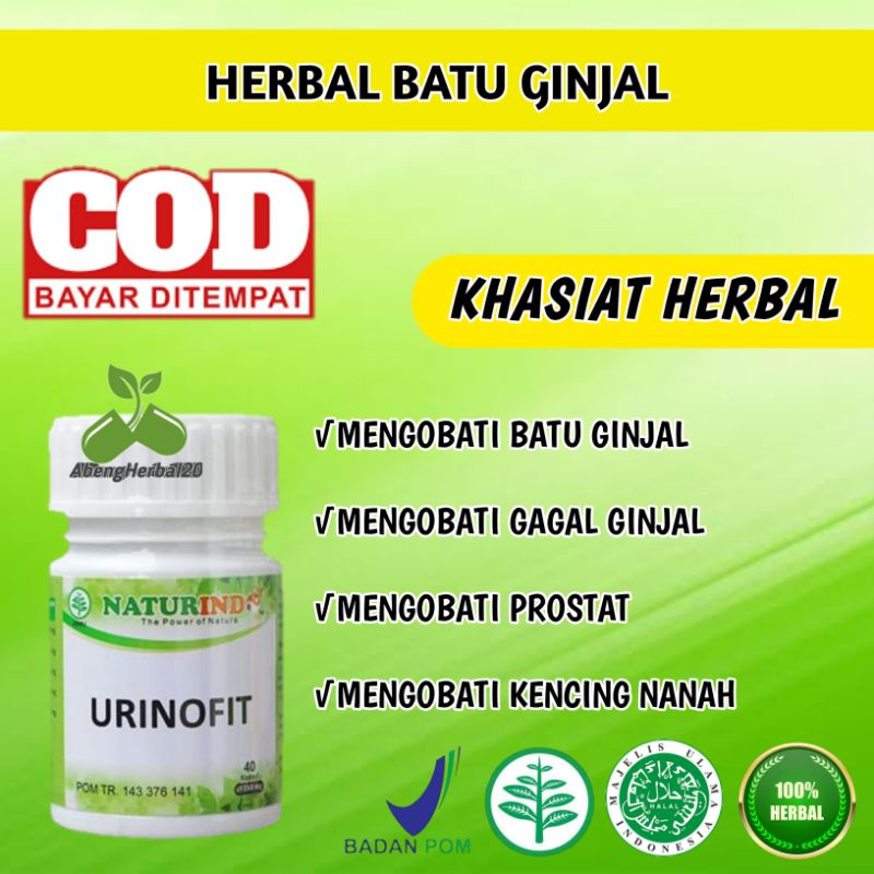 URINOFIT obat herbal batu ginjal melancarkan kencing serta mengobati gagal ginjal dan cuci darah-3