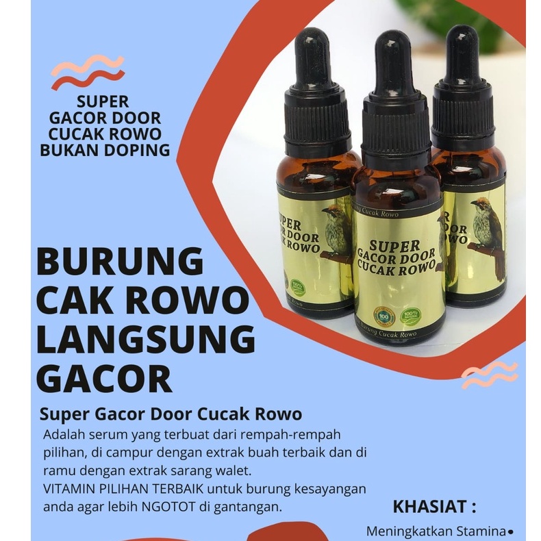 penggacor cucak rowo super gacor door cucak rowo juara gantangan