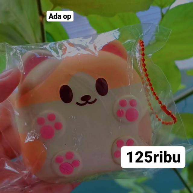 Squishy ibloom mike pan ada crack