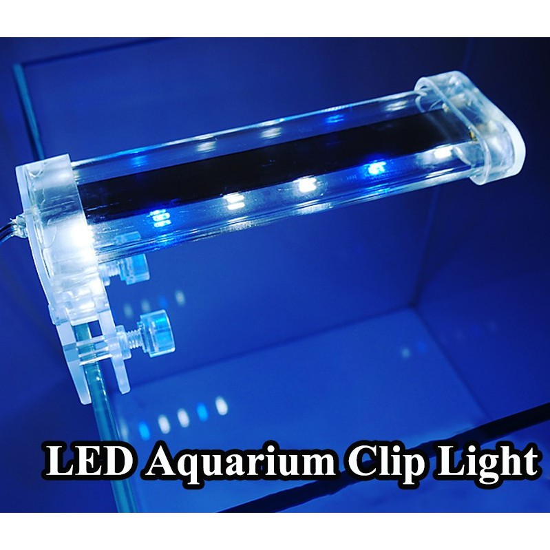 LAMPU YANG LED 3 watt jepit 3watt 3 w 3w aquarium aquascape