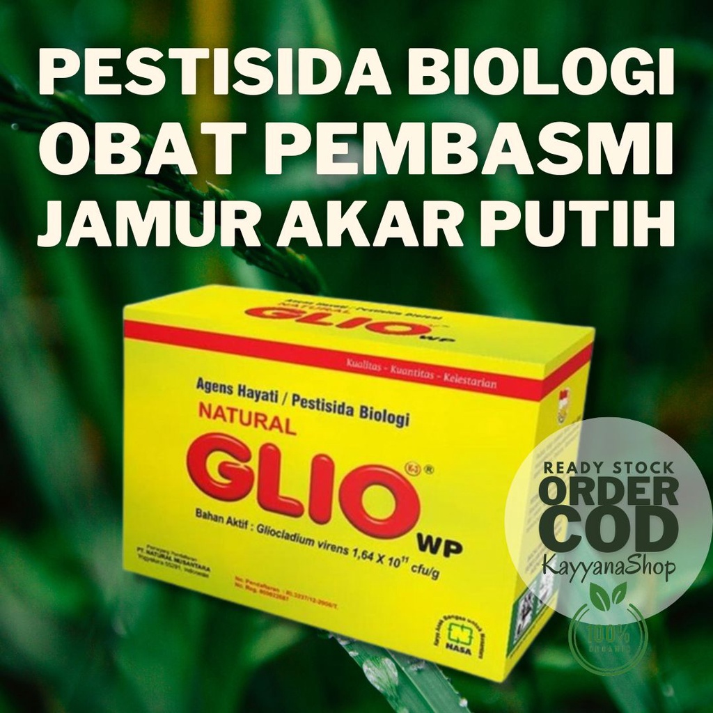 GLIO Obat Jamur Akar Putih Fungisida / Pembasmi Jamur Akar Putih / Pestisida Alami / Pestisida Biolo