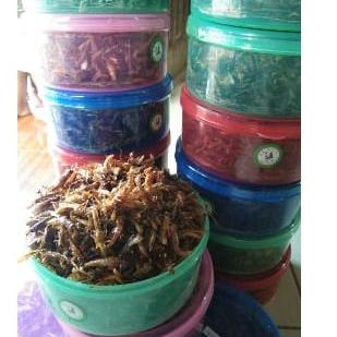 

[RV192] CEMILAN ENAK WALANG/BELALANG GORENG 210GRAM BAYAR DI TEMPAT UP78 78
