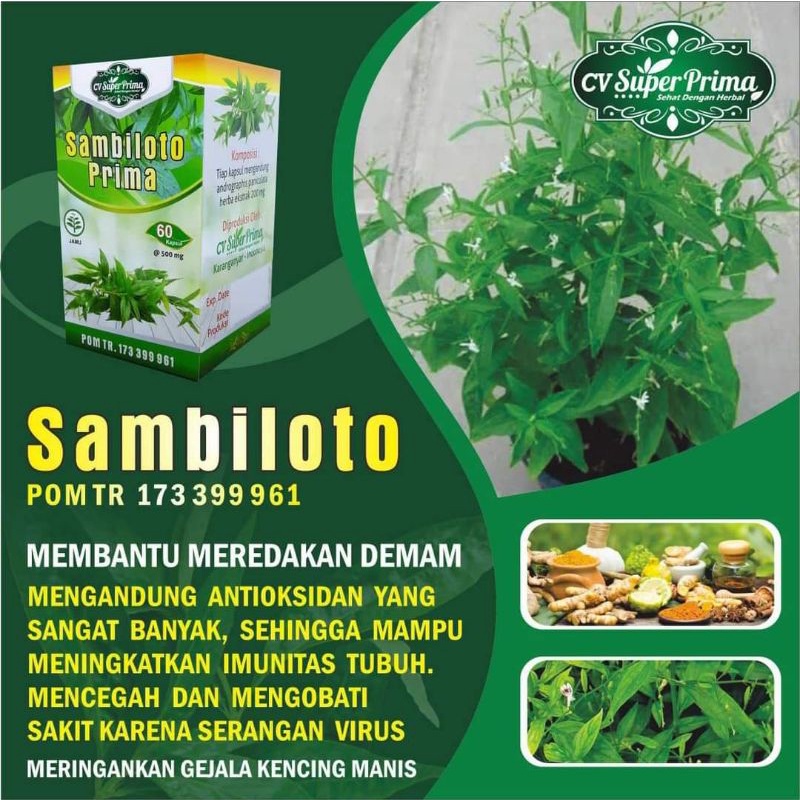 HERBAL EXTRAK SAMBILOTO 60 /MENURUNKAN DEMAM/MENGUATKAN KEKEBALAN TUBUH