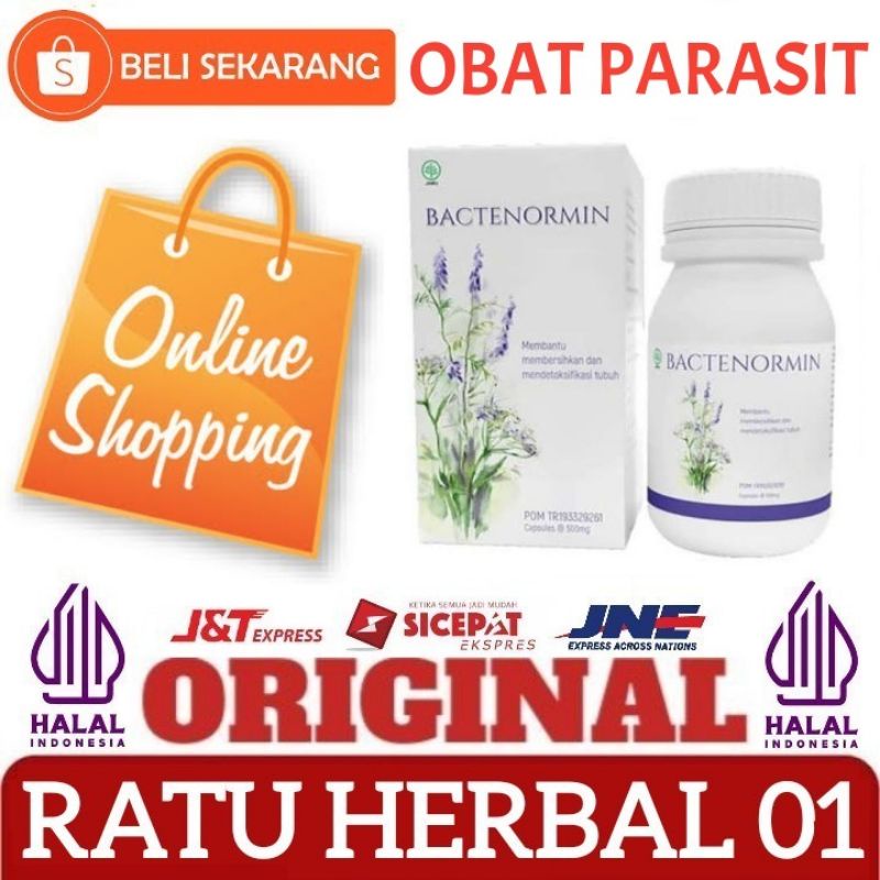 BACTENORMIN OBAT PARASIT