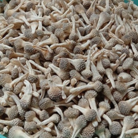 Mpot Putih 1Kg Mpot Ayam Super