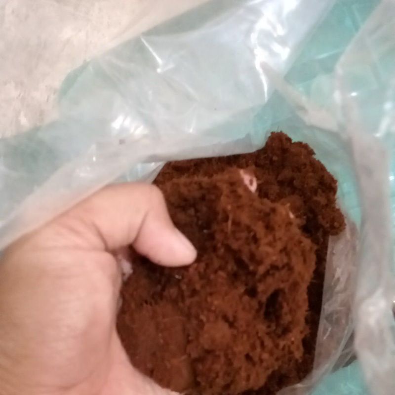 

COCOPEAT