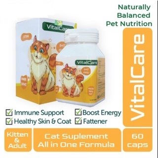 VitalCare Complete Nutrition Vitamin Kucing 60pcs / Vital Care Suplemen Kucing