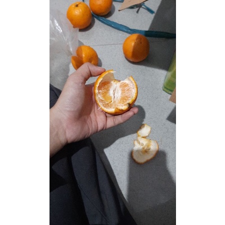 

Jeruk Muncrot Madu