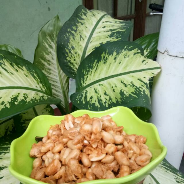 

#Kacang bumbu bali 500gram 30 000