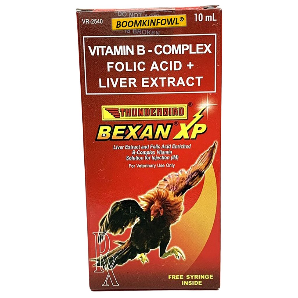 Bexan XP