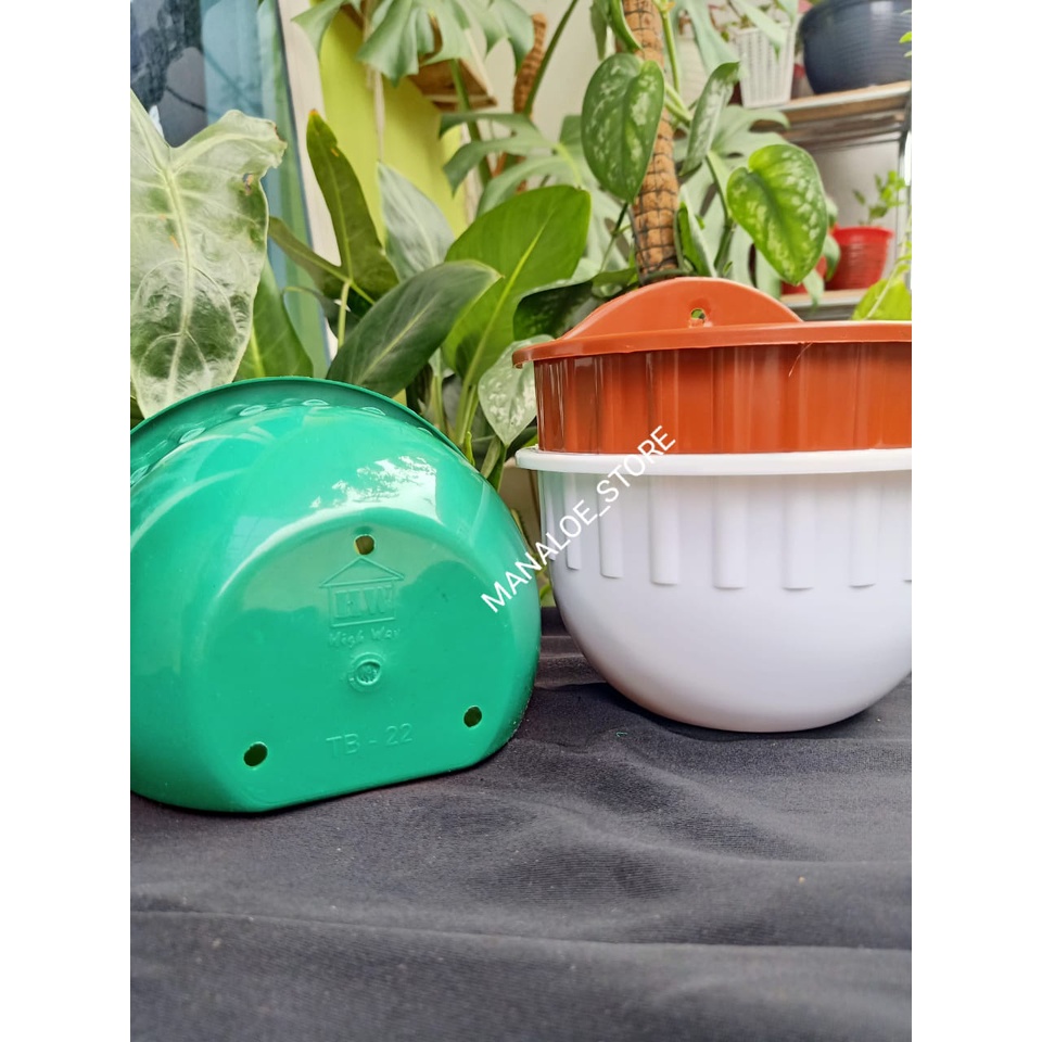 POT BUNGA PLASTIK CANTIK. POT BUNGA UNTUK DINDING. POT BUNGA UNTUK DEKORASI RUMAH