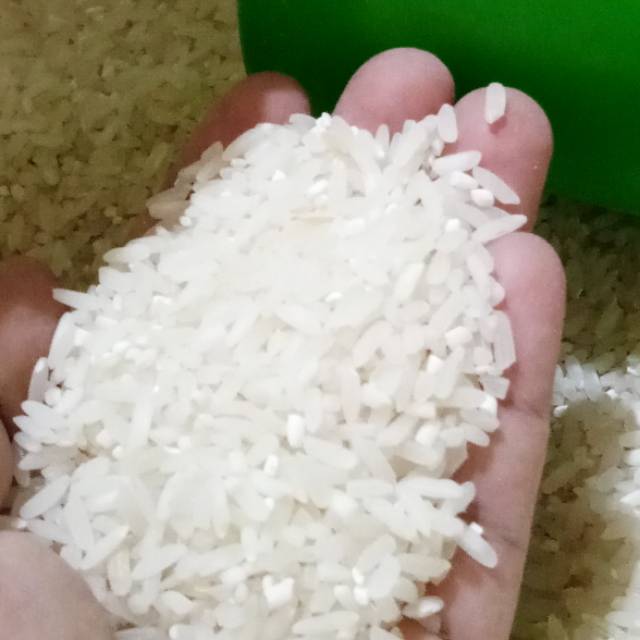

Beras ciarum