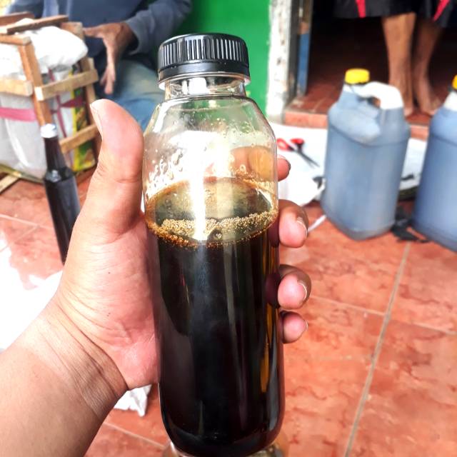 

Madu Murni [Madu asli] Madu Hutan / Dorsata , dan Klanceng Liar