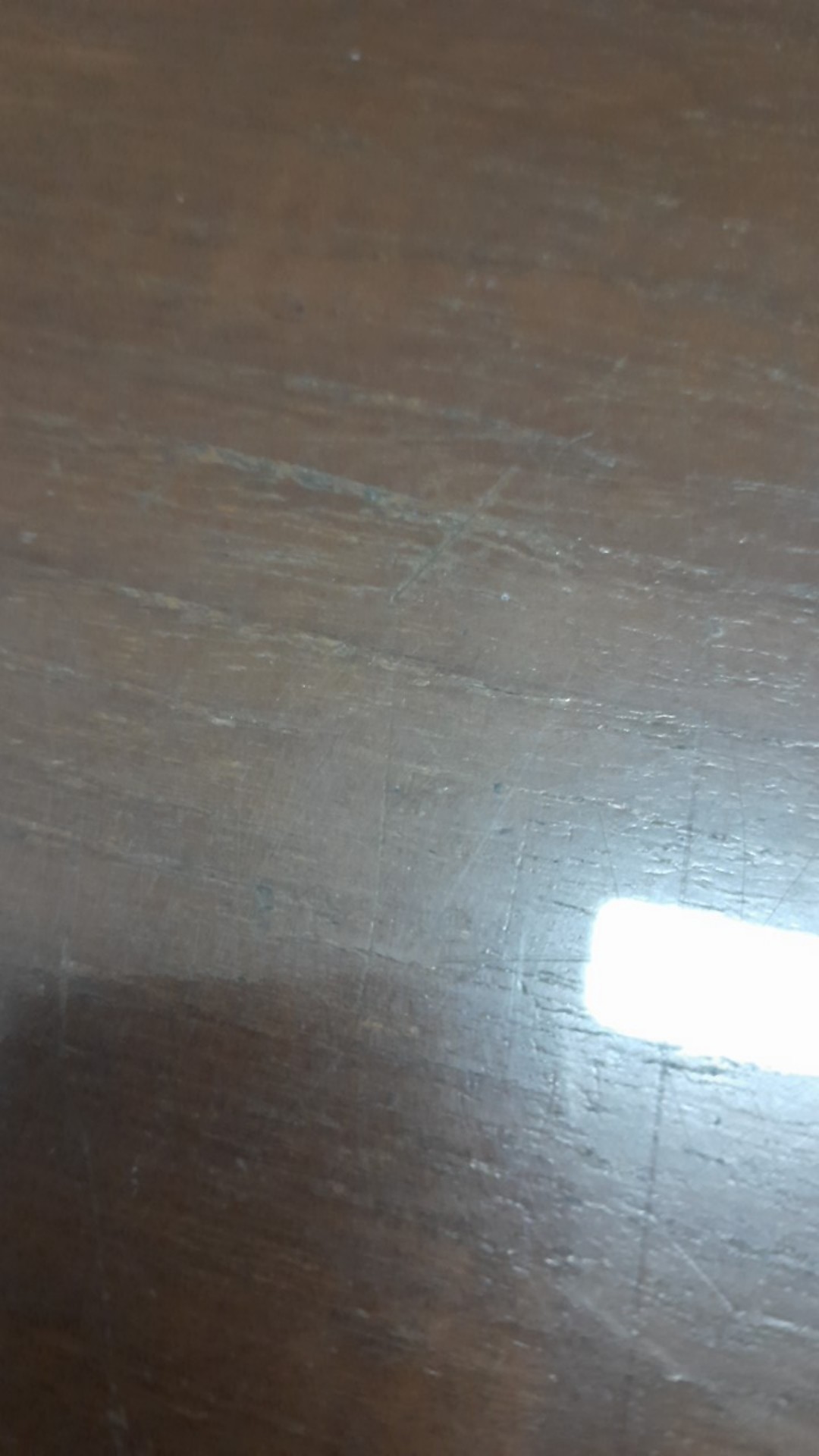 Hss Amplas Velcro Grit 240 Amplas Bulat Tempel Mesin Gerinda - Satuan