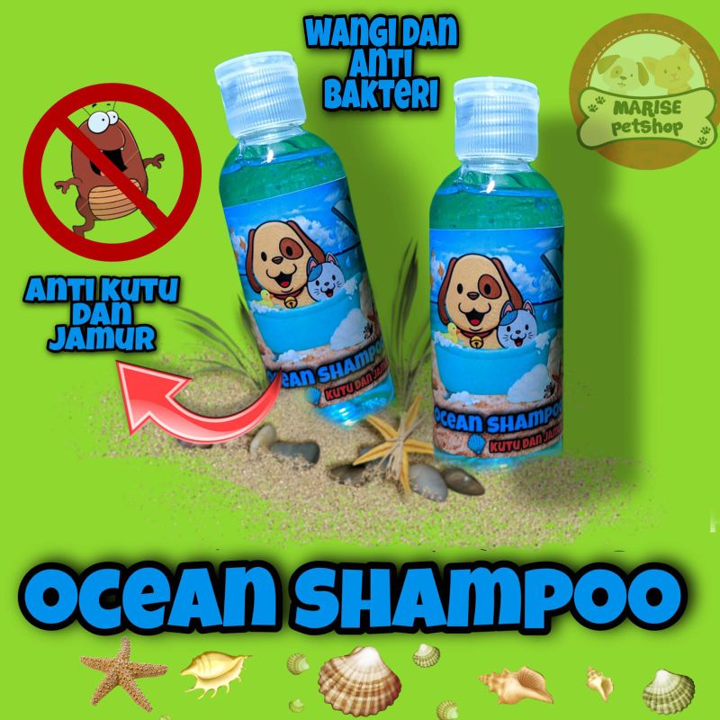 Shampo kucing anti kutu dan jamur kumplit wangi ocean - anti bakteri