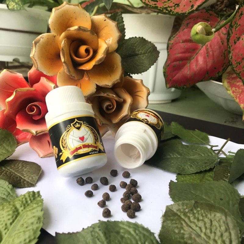 MEQINA MAJAKANI ACEH