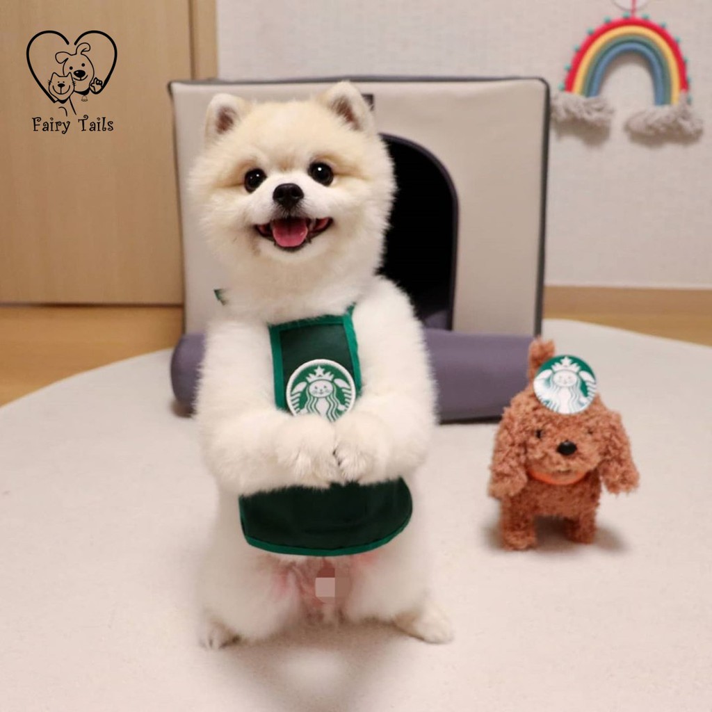 Kostum Cosplay Anjing Kucing Apron Celemek Starbucks ''Catbucks'' | Pet Costume Starbucks Apron