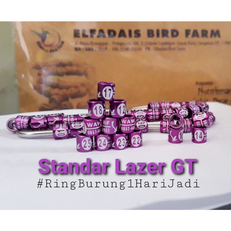 RING BLOCK GT 25Pcs Ring Burung 1Hari Jadi GARIS TENGAH Model Standar Lazer GT Logo