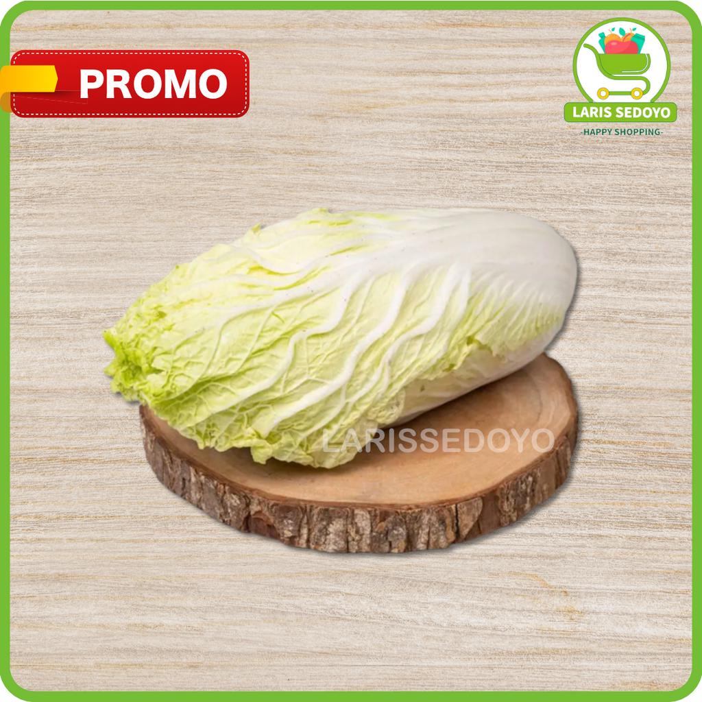 

SAWI PUTIH / CHINESE CABBAGE SAYUR SAYURAN FRESH