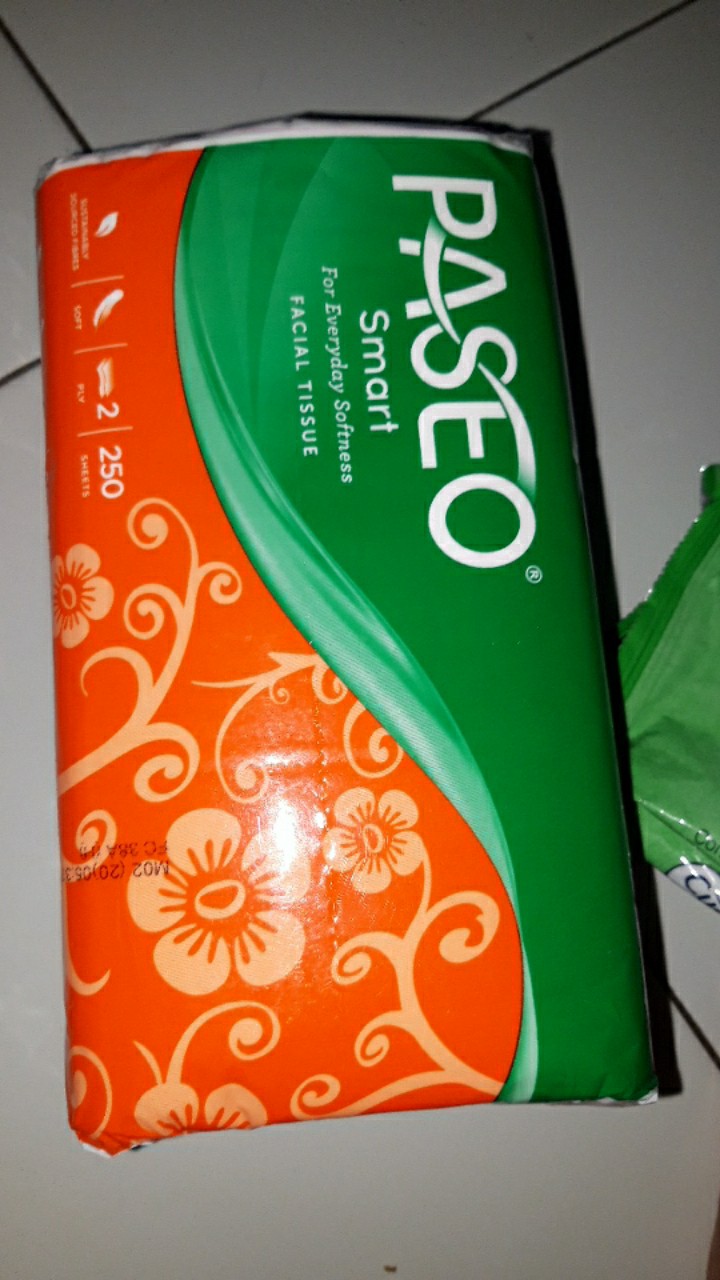 Tissue Paseo Smart 250 Sheets Tissue Facial