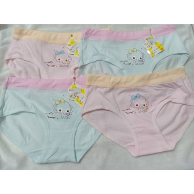 cd anak sorex segitiga