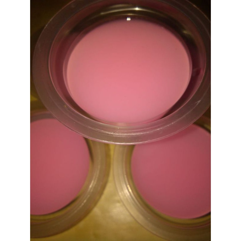 

Paketan usaha silky puding 200 gr