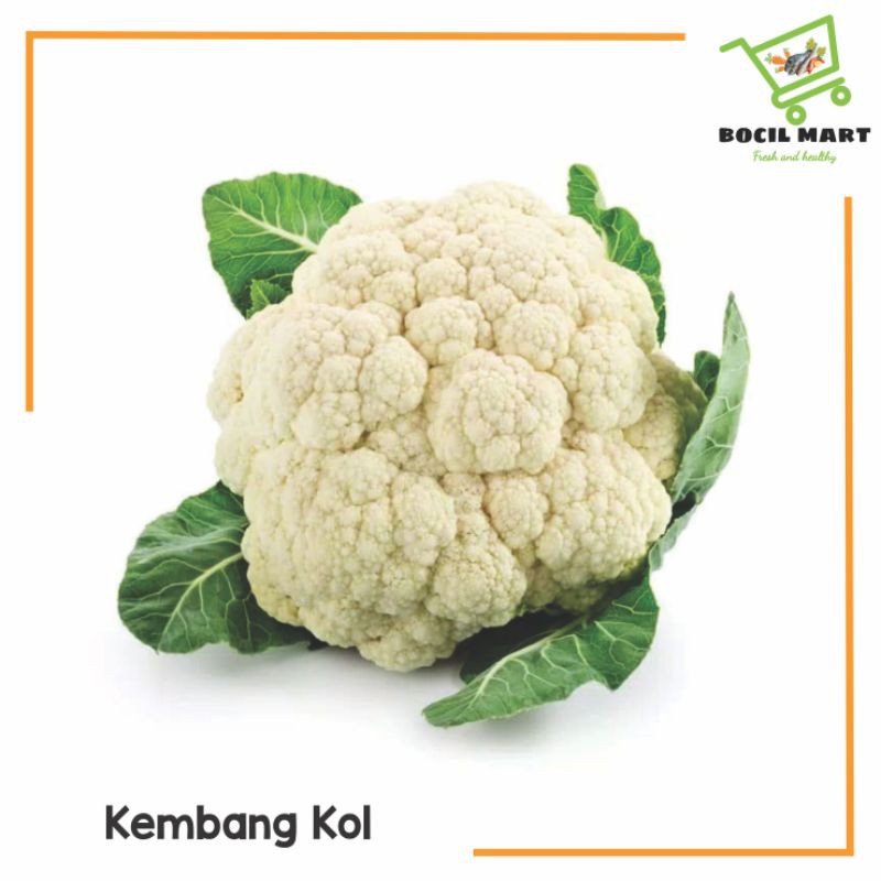 

[BOCIL MART] KEMBANG KOL / BRUNGKUL 250GR