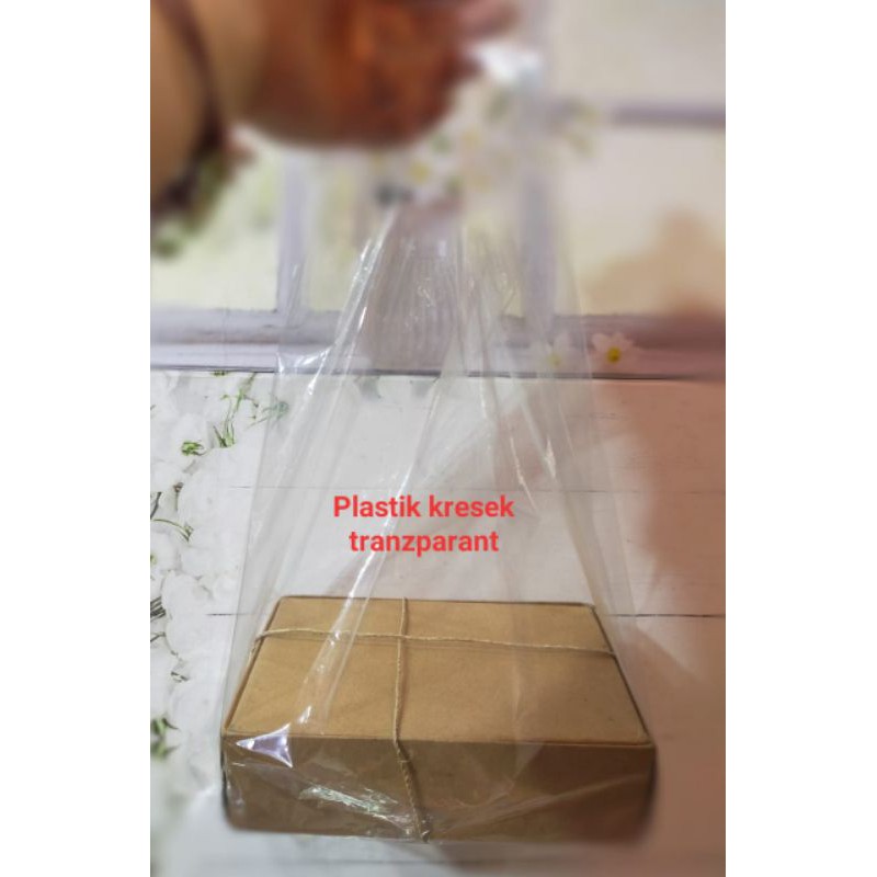 

PLASTIK TRANSPARENT takeaway