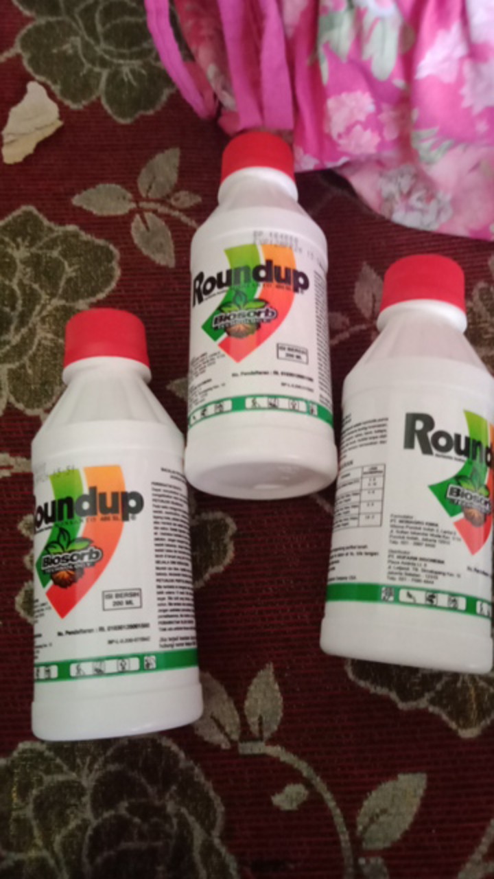 Herbisida Roundup Isi 200 Ml