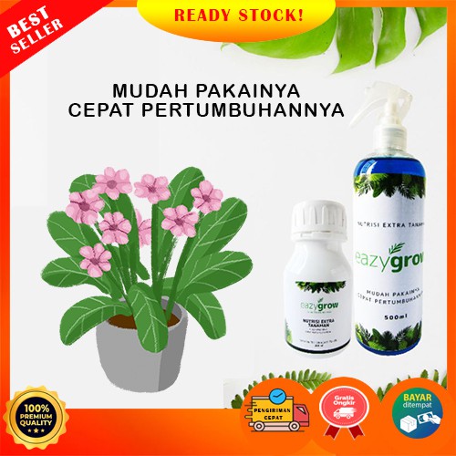 (PROMO &amp; ORIGINAL) Pupuk daun, Pupuk tanaman hias, Eazygrow spray 500ml