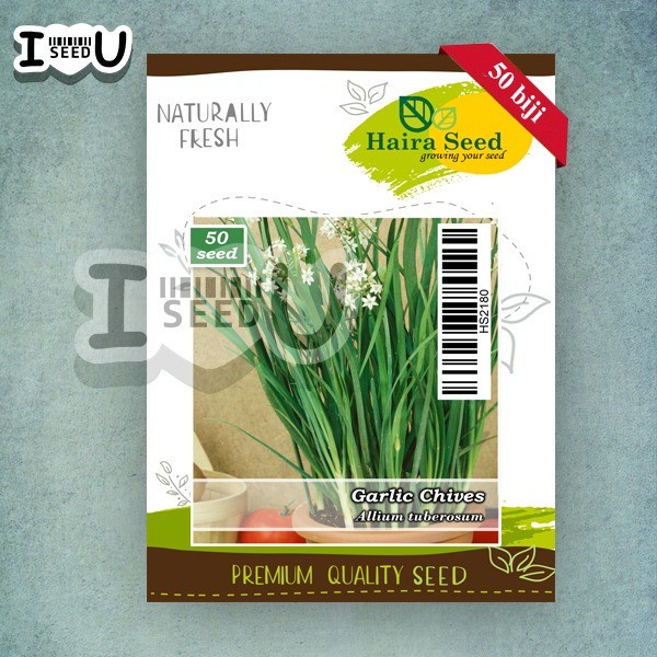 Bibit-Biji Kucai/Garlic Chives (Haira Seed)