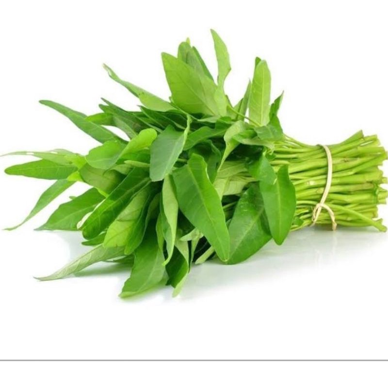 

Sayur kangkung segar surga kebutuhan ku kankung kale