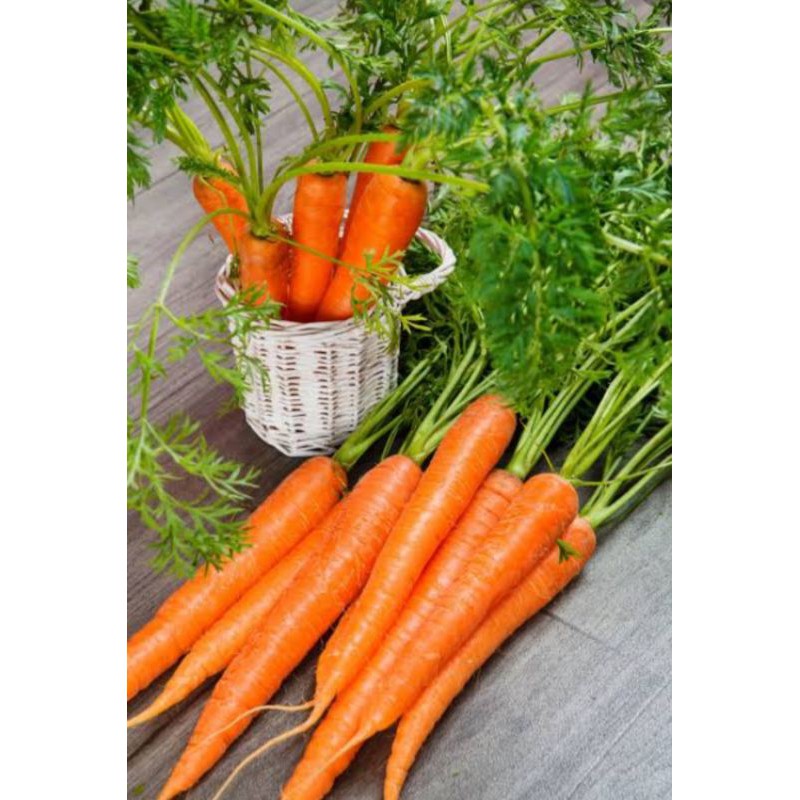 

wortel SUPER pilihan 500gm