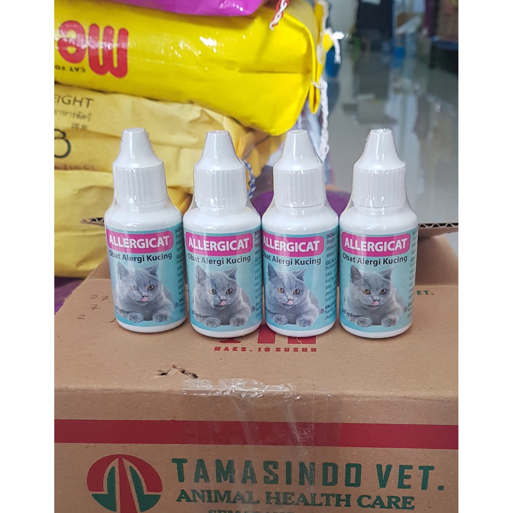 ALLERGI CAT Obat Kucing Gatal Kulit Radang karena allergi