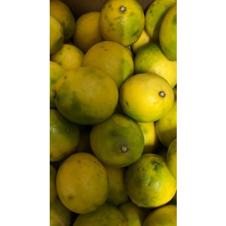 

lemon california