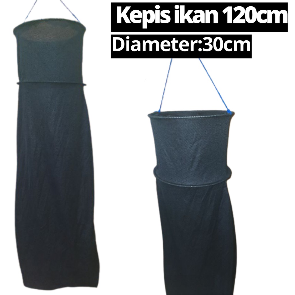 KARAMBA KEPIS KOJA TEMPAT IKAN