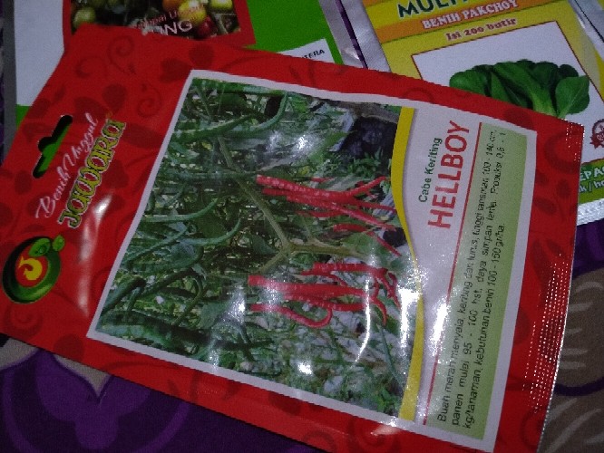 Bibit Cabe Keriting Hellboy Isi 5 Gram | Benih Cabe | Bibit Cabai Keriting | Bibit Unggul