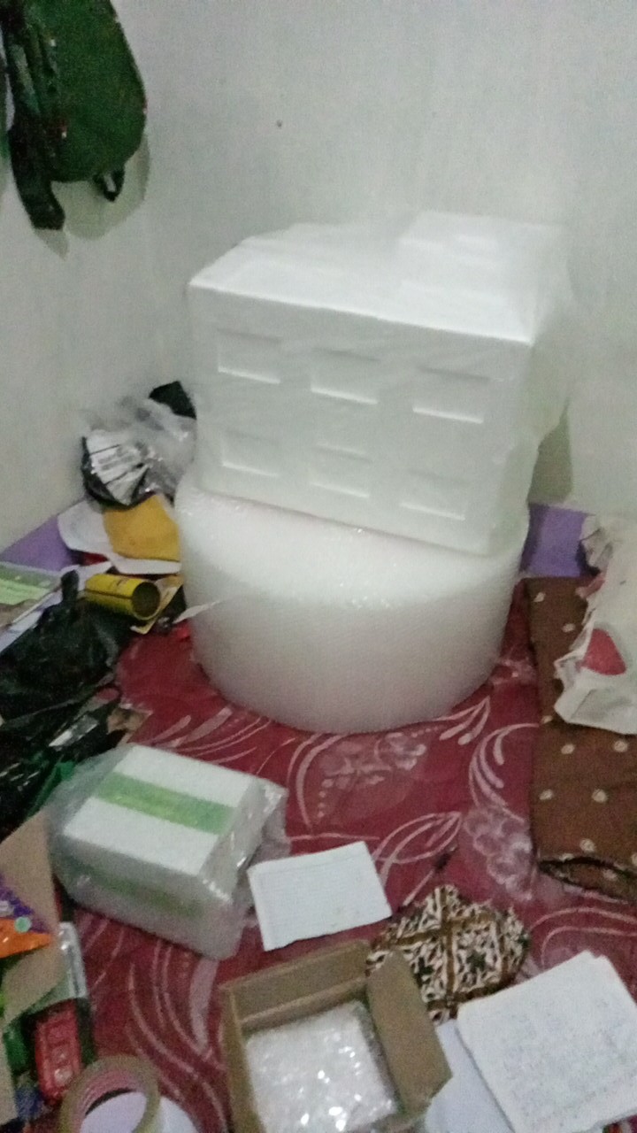 Styrofoam Box Udang Extra Hard / Fish / Ikan / Seafood / Hidroponik / Murah / Dpr / Medium / Seri B