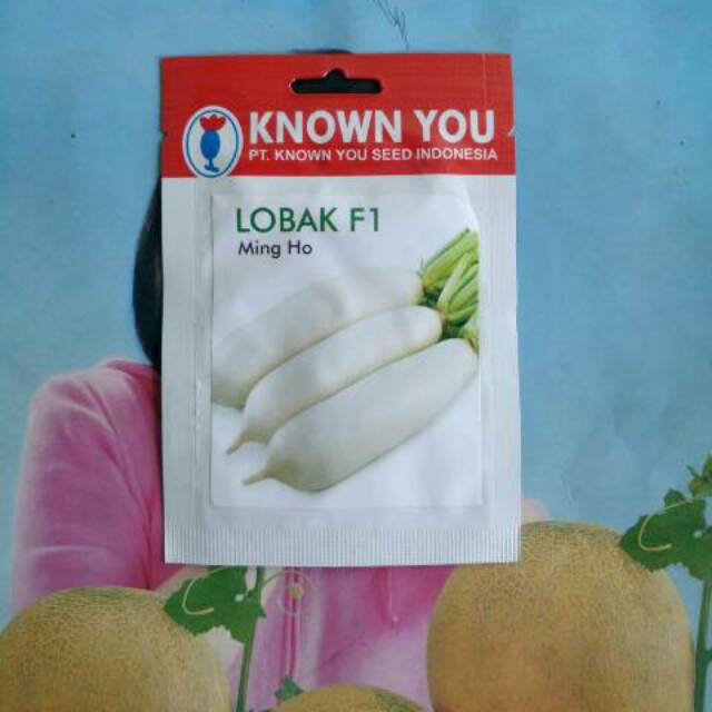 Benih Bibit Lobak Putih Hibrida MING HO SP