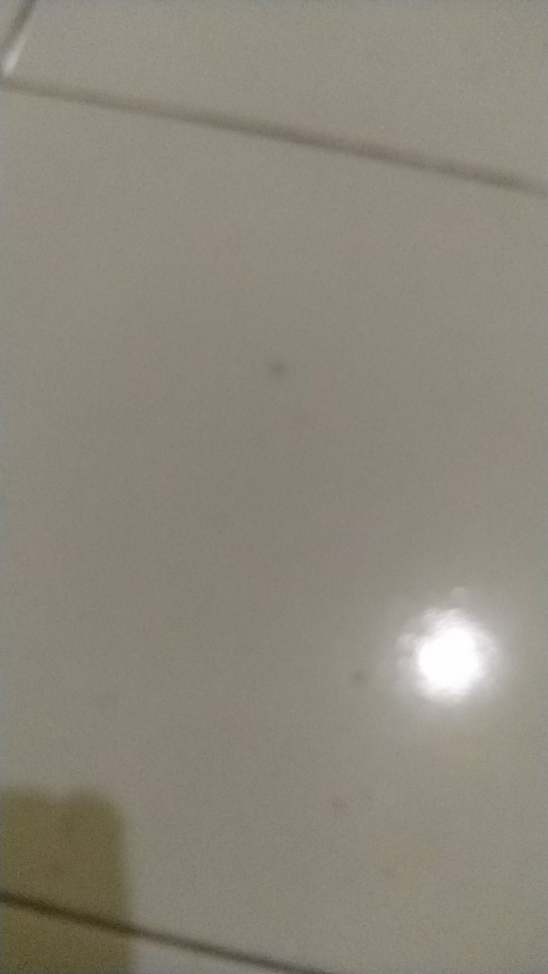 Paku Payung Satuan Pak Kecil