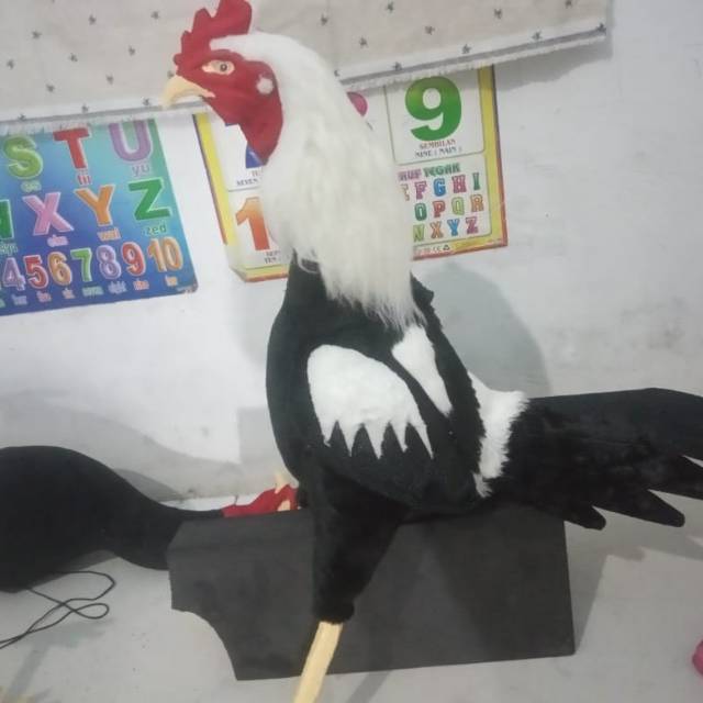 

ayam replika untuk latih ayam jago