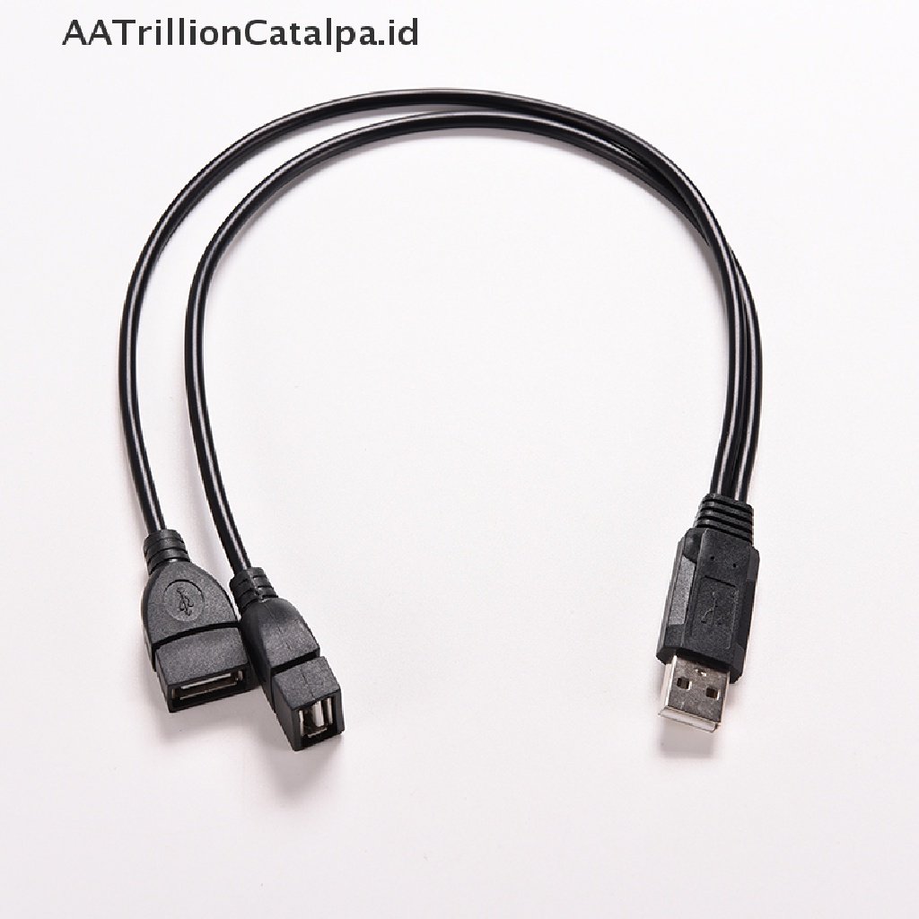 Aatrillioncatalpa Kabel Adapter Splitter Y USB 2.0 A Male Ke 2 Dual USB Female Jack Power