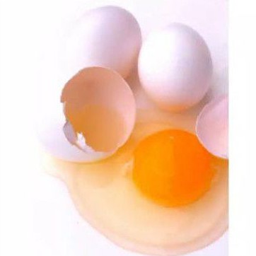 Telur ayam kampung butiran telur kampung murah