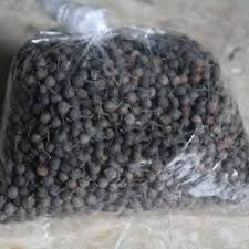

BIJI KEMUKUS KERING /LADA JAWA /LADA KUBIS 250 GRAM