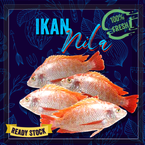 

IKAN NILA SEGAR Per 500 Gr