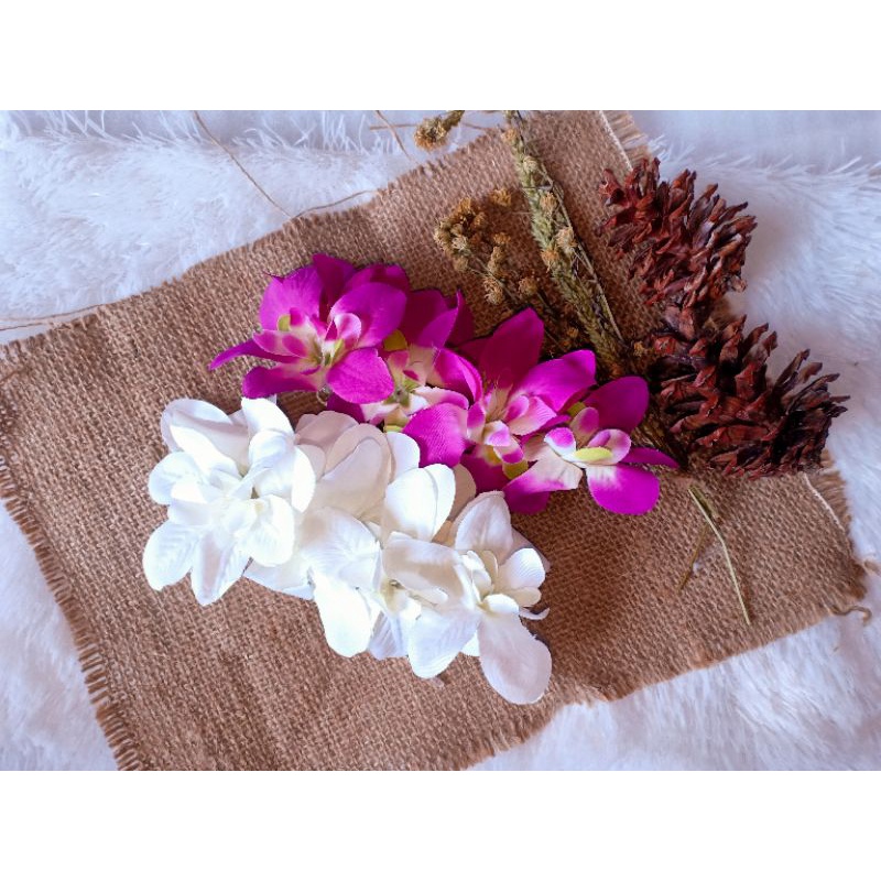 Semanggi Anggrek Ungu//Putih